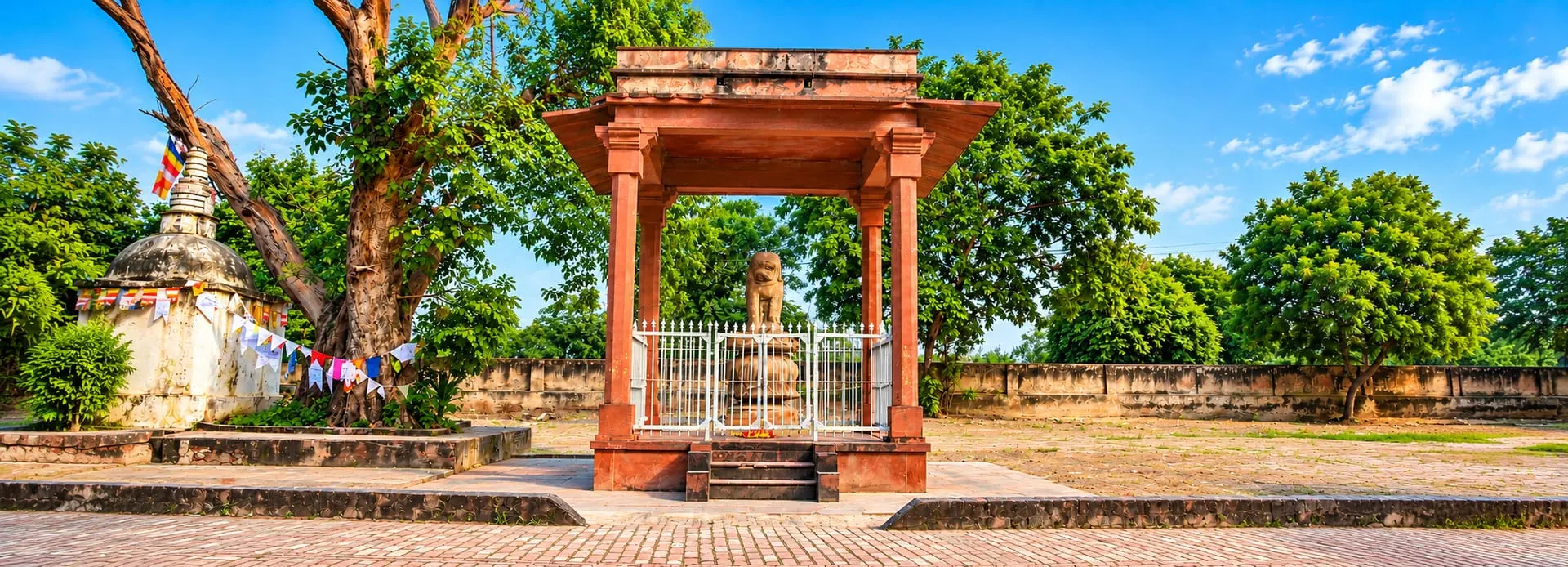 Sankisasa Sankasia